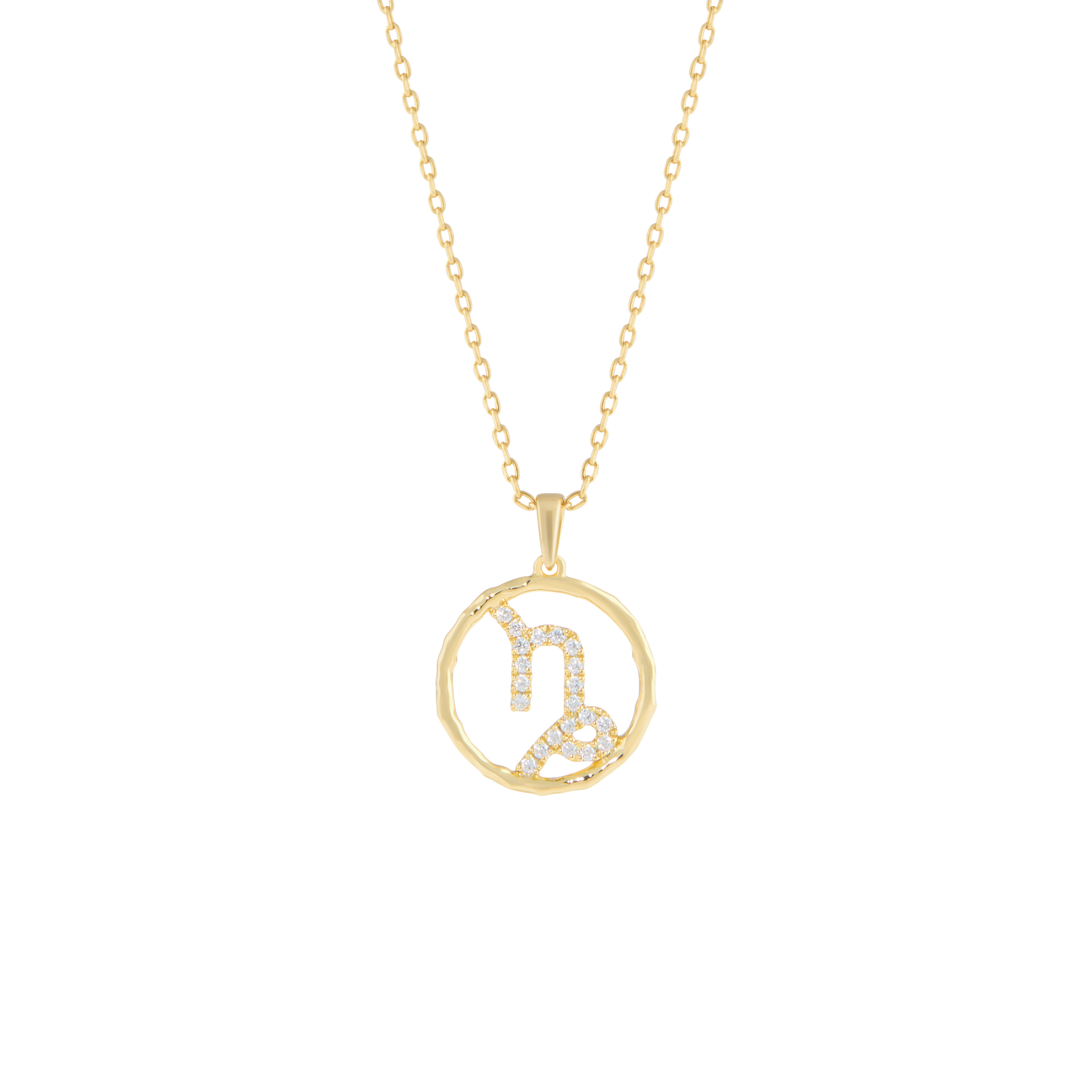Capricorn medallion pendant necklace - Capricorn medallion pendant necklace -  The Future Rocks -    1