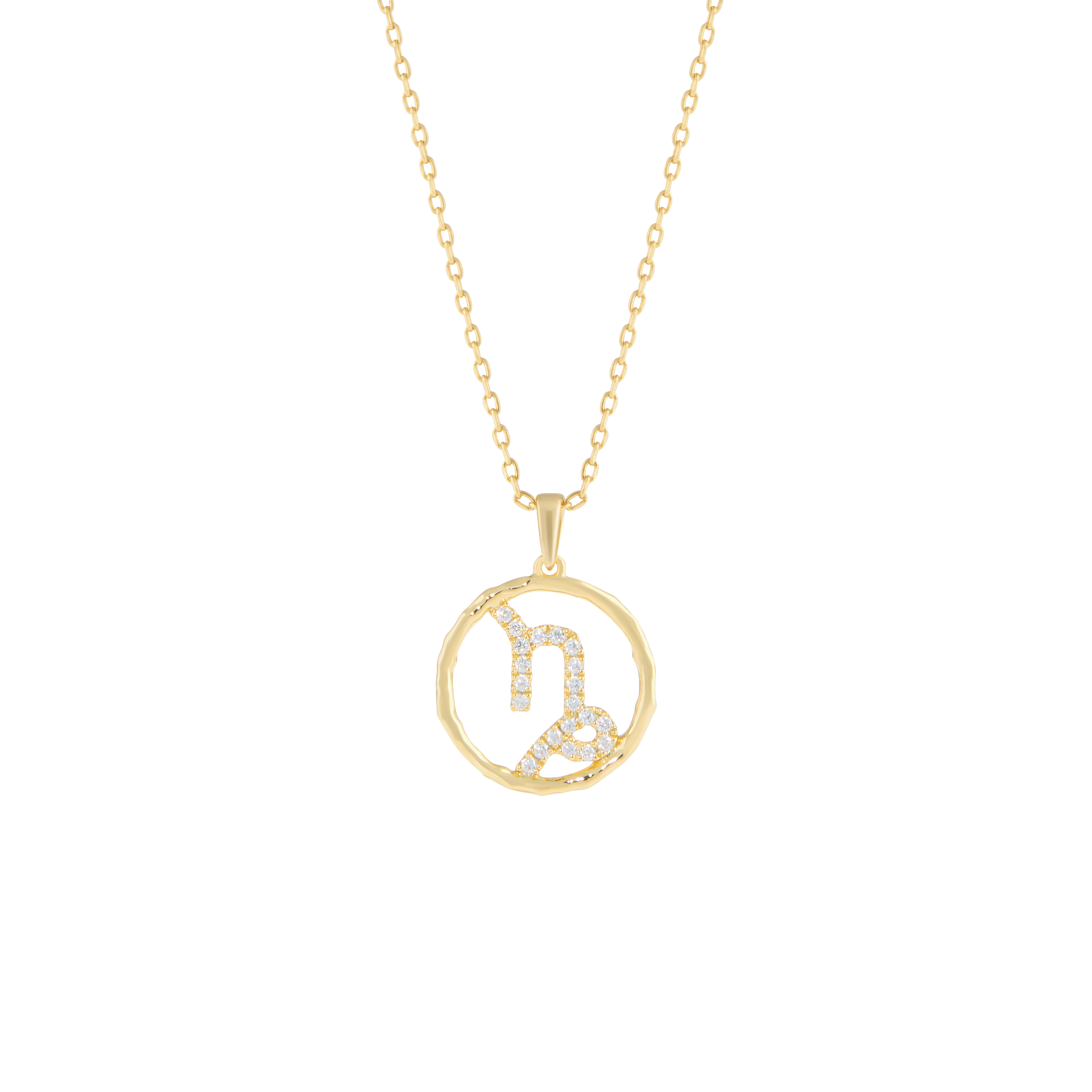 Capricorn medallion pendant necklace - Capricorn medallion pendant necklace -  The Future Rocks -    1