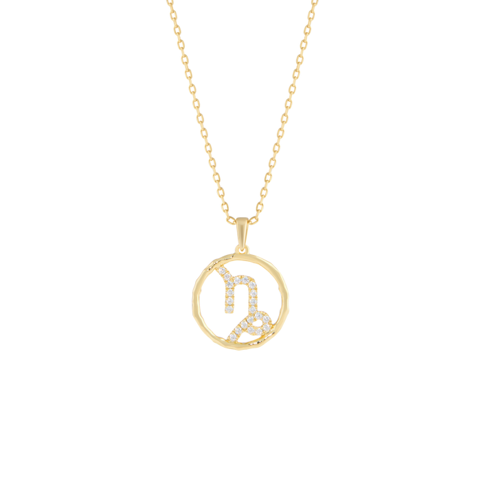 Capricorn medallion pendant necklace - Capricorn medallion pendant necklace -  The Future Rocks -    1
