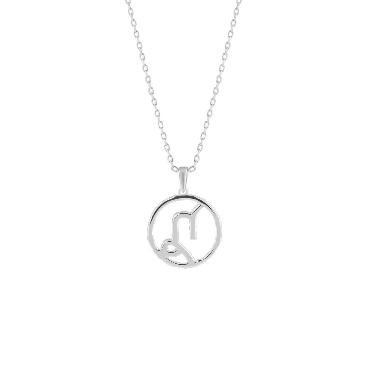 Capricorn medallion pendant necklace - Capricorn medallion pendant necklace -  The Future Rocks -    5