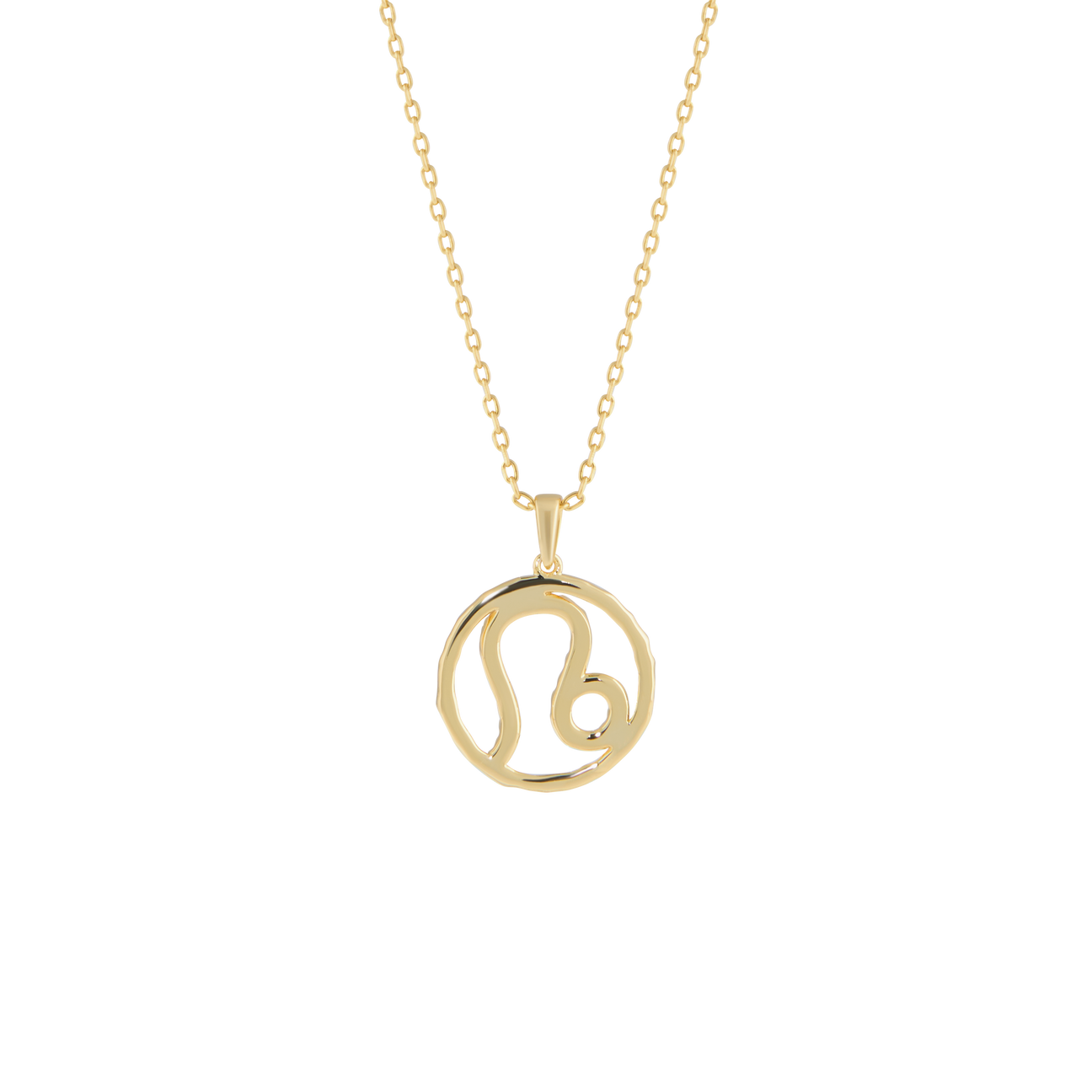Leo medallion pendant necklace - Leo medallion pendant necklace -  The Future Rocks -    4