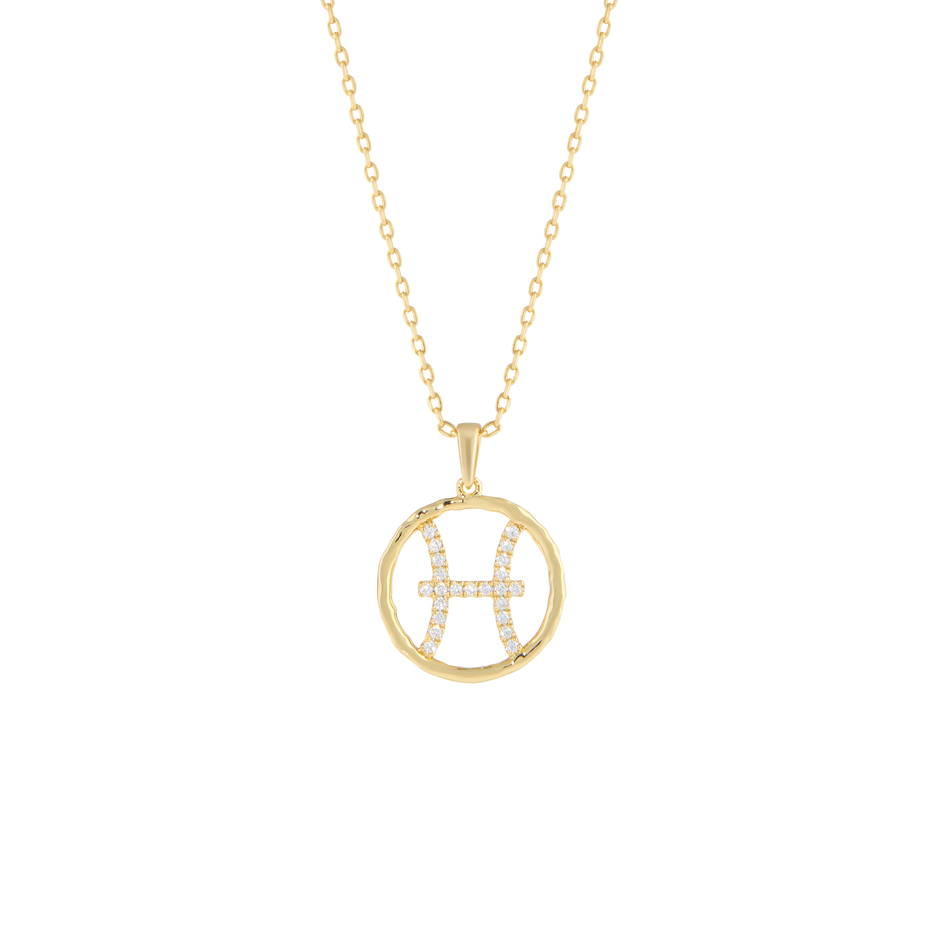 Pisces medallion pendant necklace - Pisces medallion pendant necklace -  The Future Rocks -    1