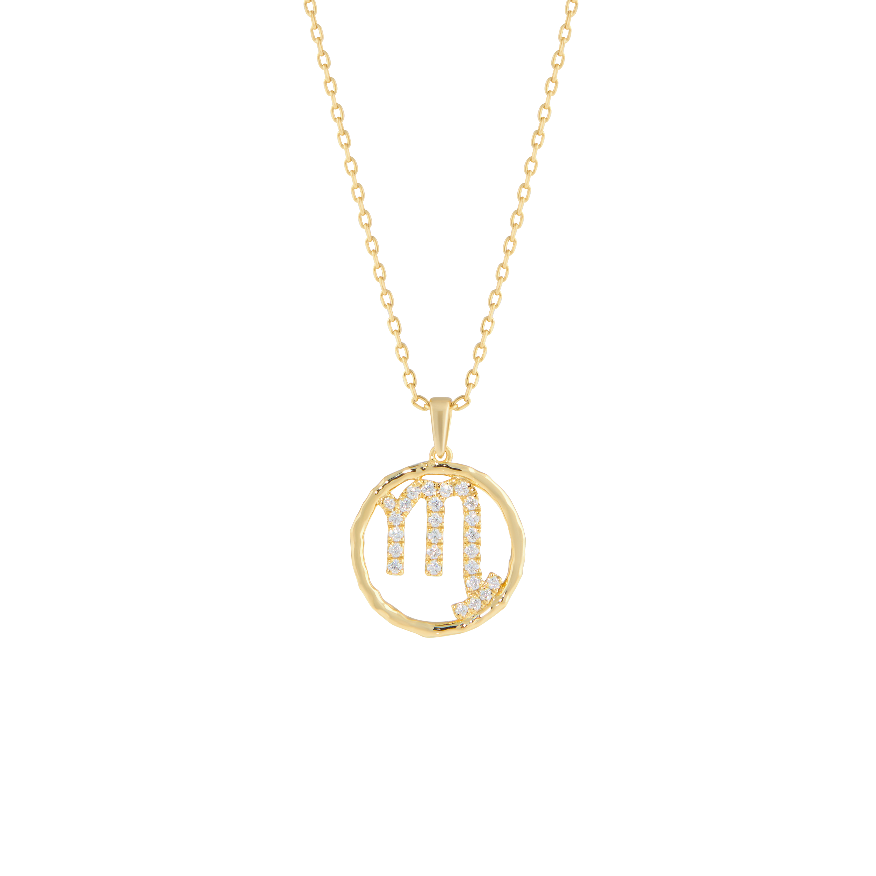 Scorpio medallion pendant necklace - Scorpio medallion pendant necklace -  The Future Rocks -    1