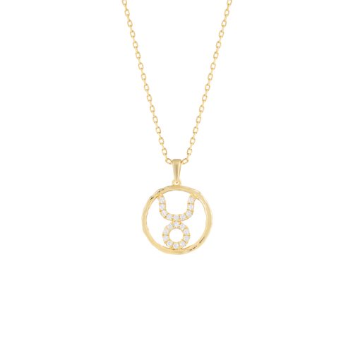 Taurus medallion pendant necklace - Taurus medallion pendant necklace -  The Future Rocks -    1