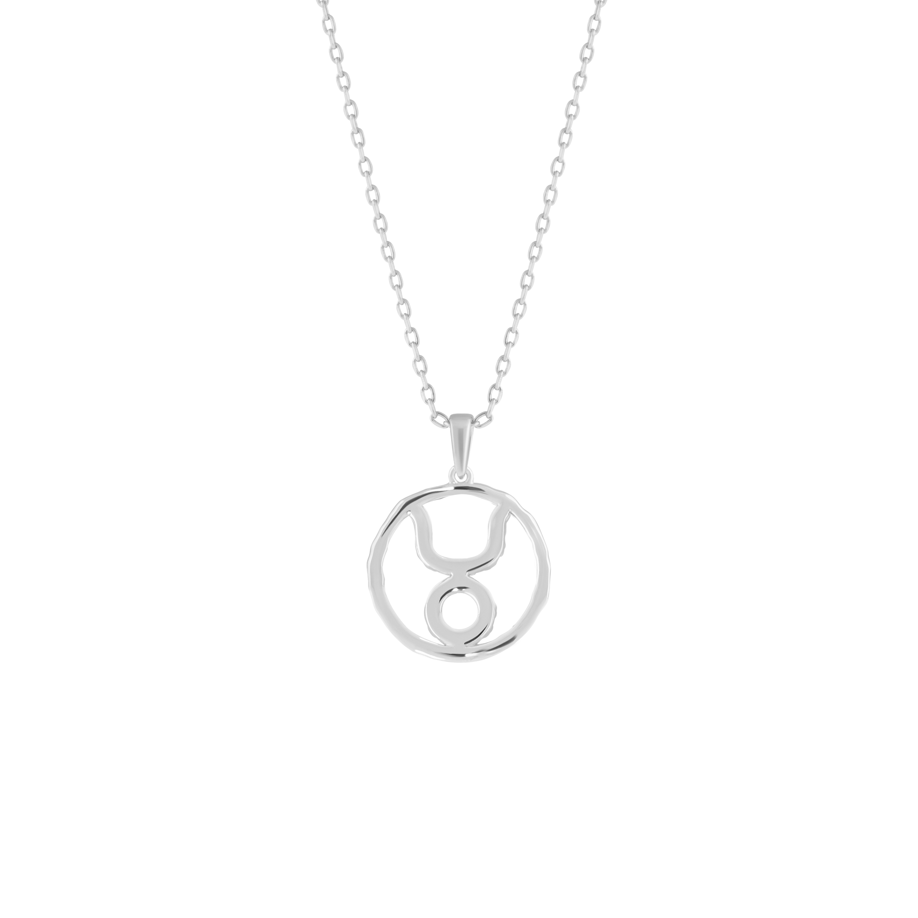 Taurus medallion pendant necklace - Taurus medallion pendant necklace -  The Future Rocks -    5