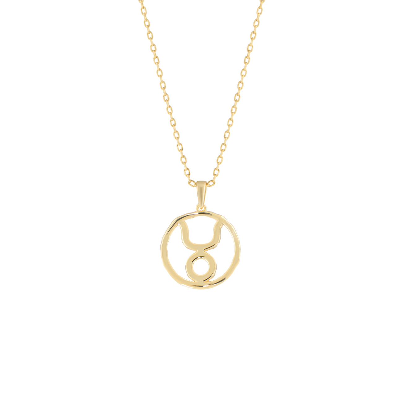 Taurus medallion pendant necklace - Taurus medallion pendant necklace -  The Future Rocks -    4
