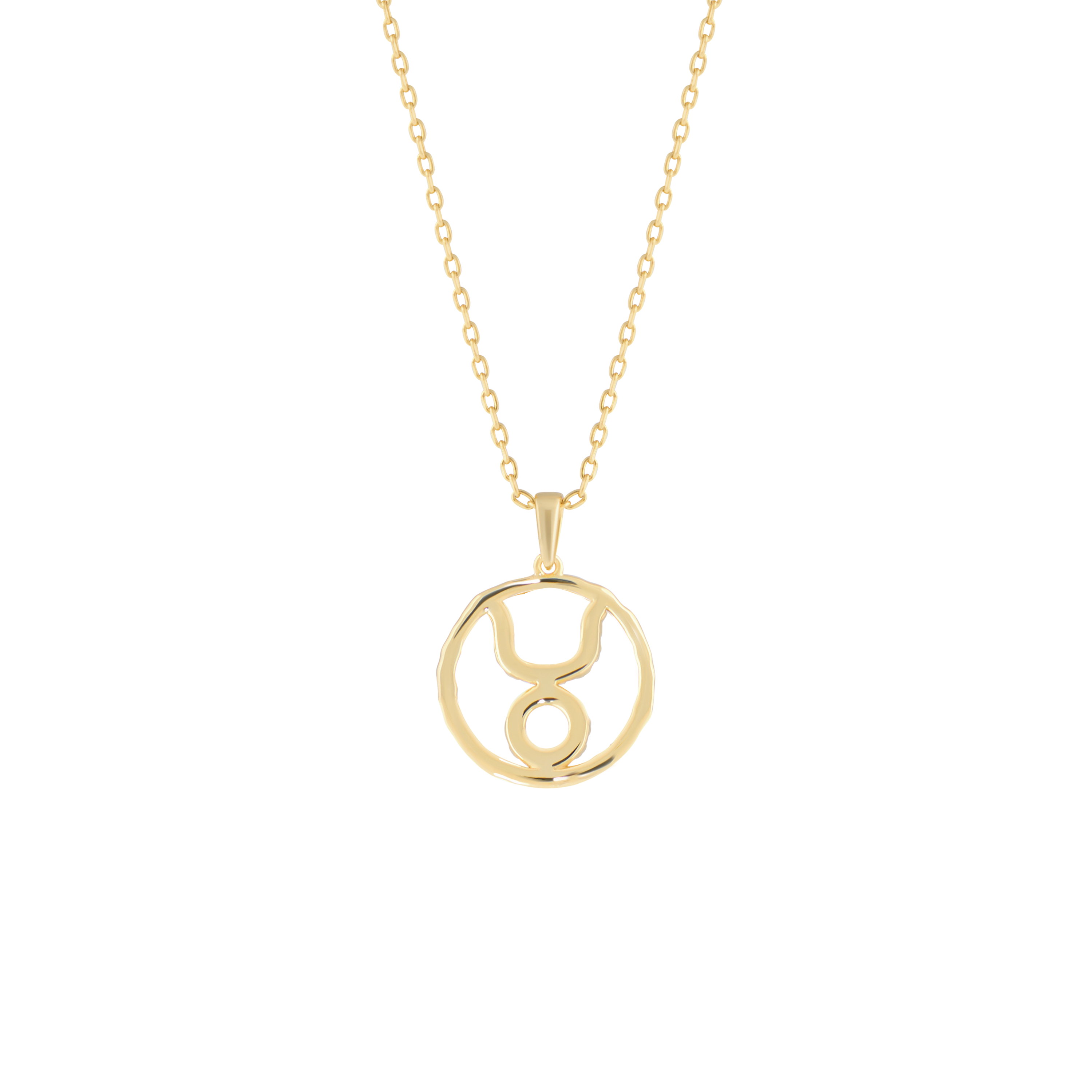 Taurus medallion pendant necklace - Taurus medallion pendant necklace -  The Future Rocks -    4