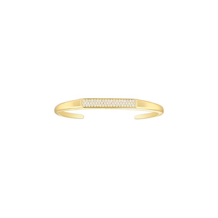 Zulu bangle - Zulu bangle -  The Future Rocks -    1