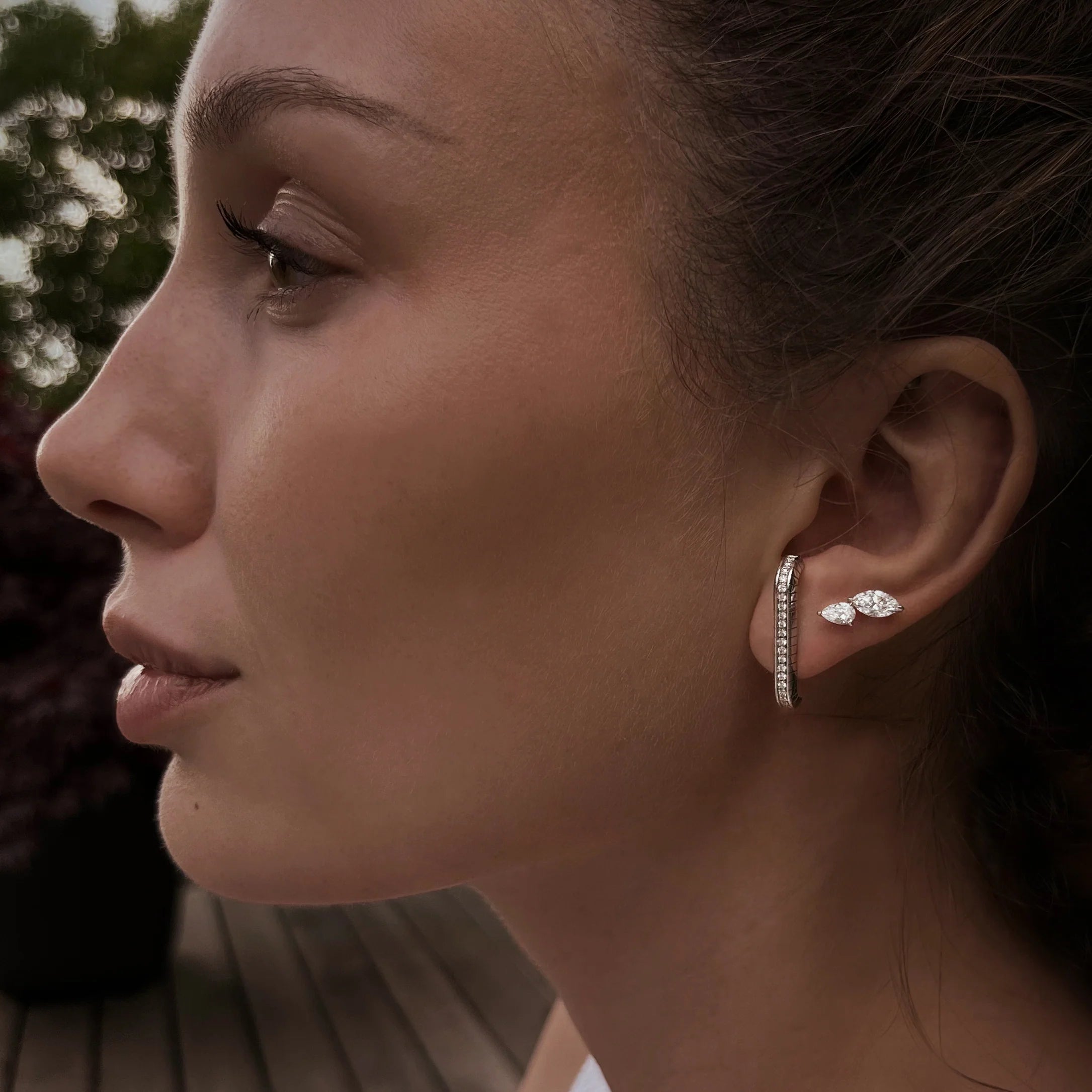 The pear stud - The pear stud -  The Future Rocks -    2