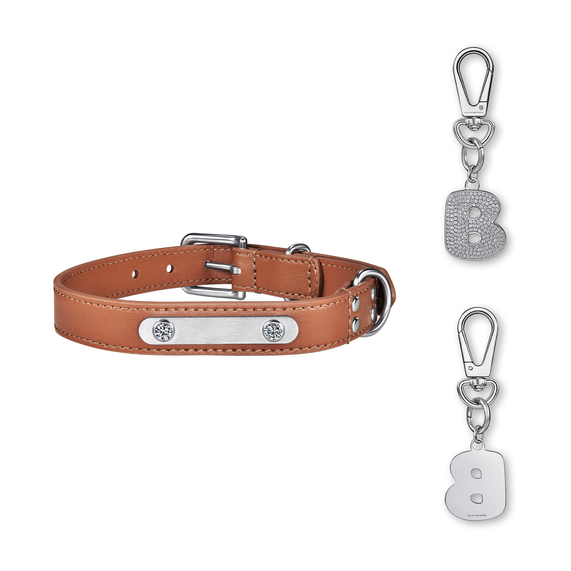 Brown pet collar with 1 charm bundle - Brown pet collar with 1 charm bundle - The Future Rocks - 25
