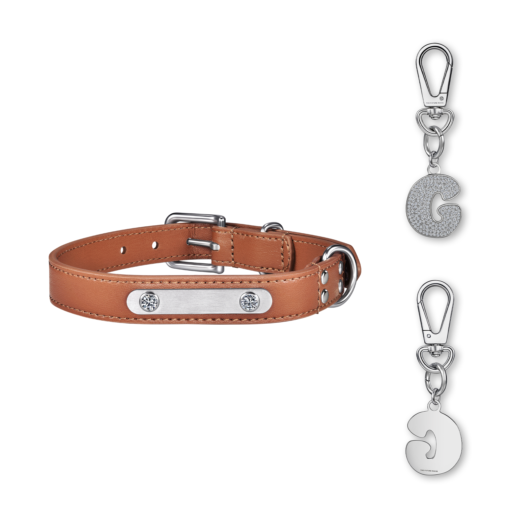 Brown pet collar with 1 charm | セット