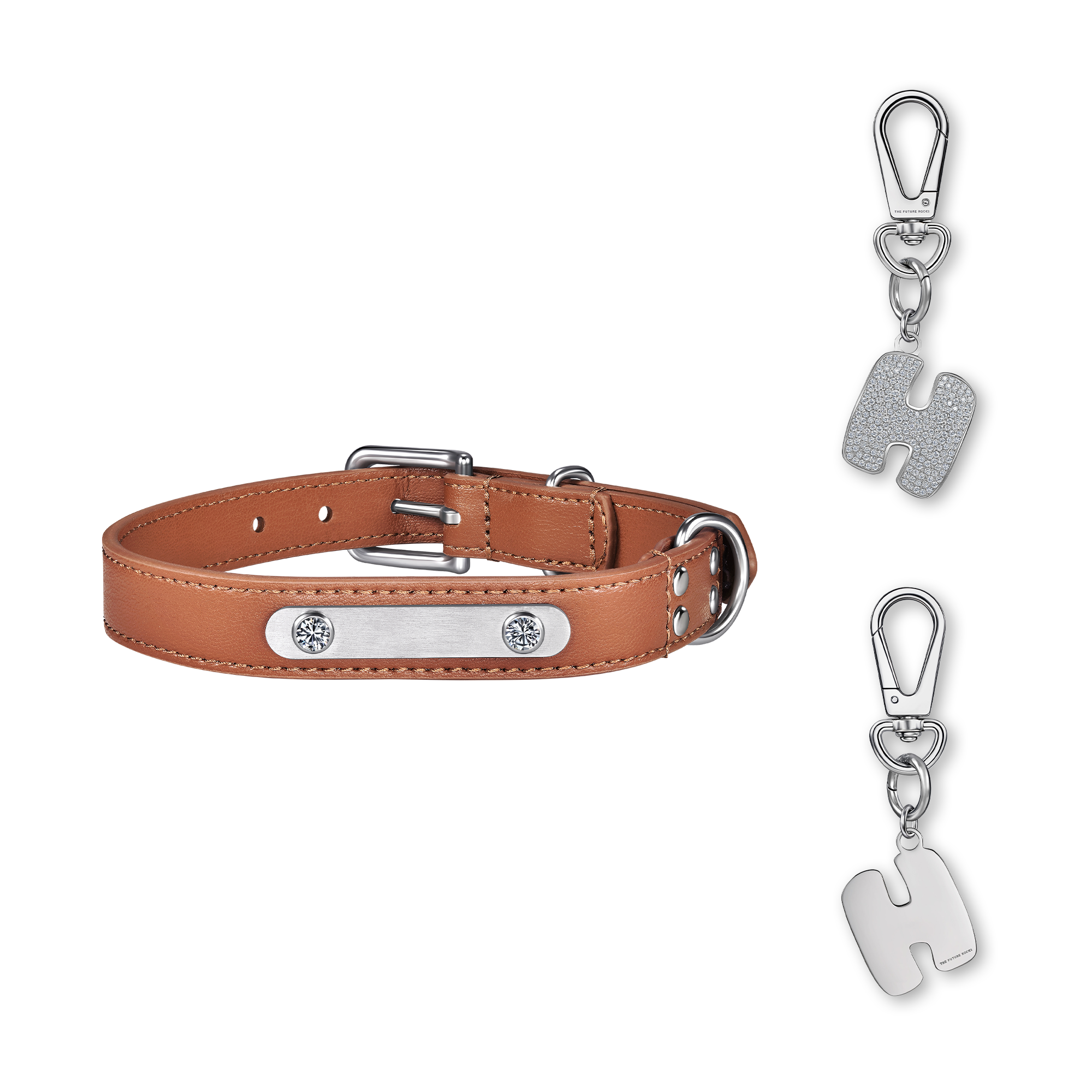 Brown pet collar with 1 charm | セット