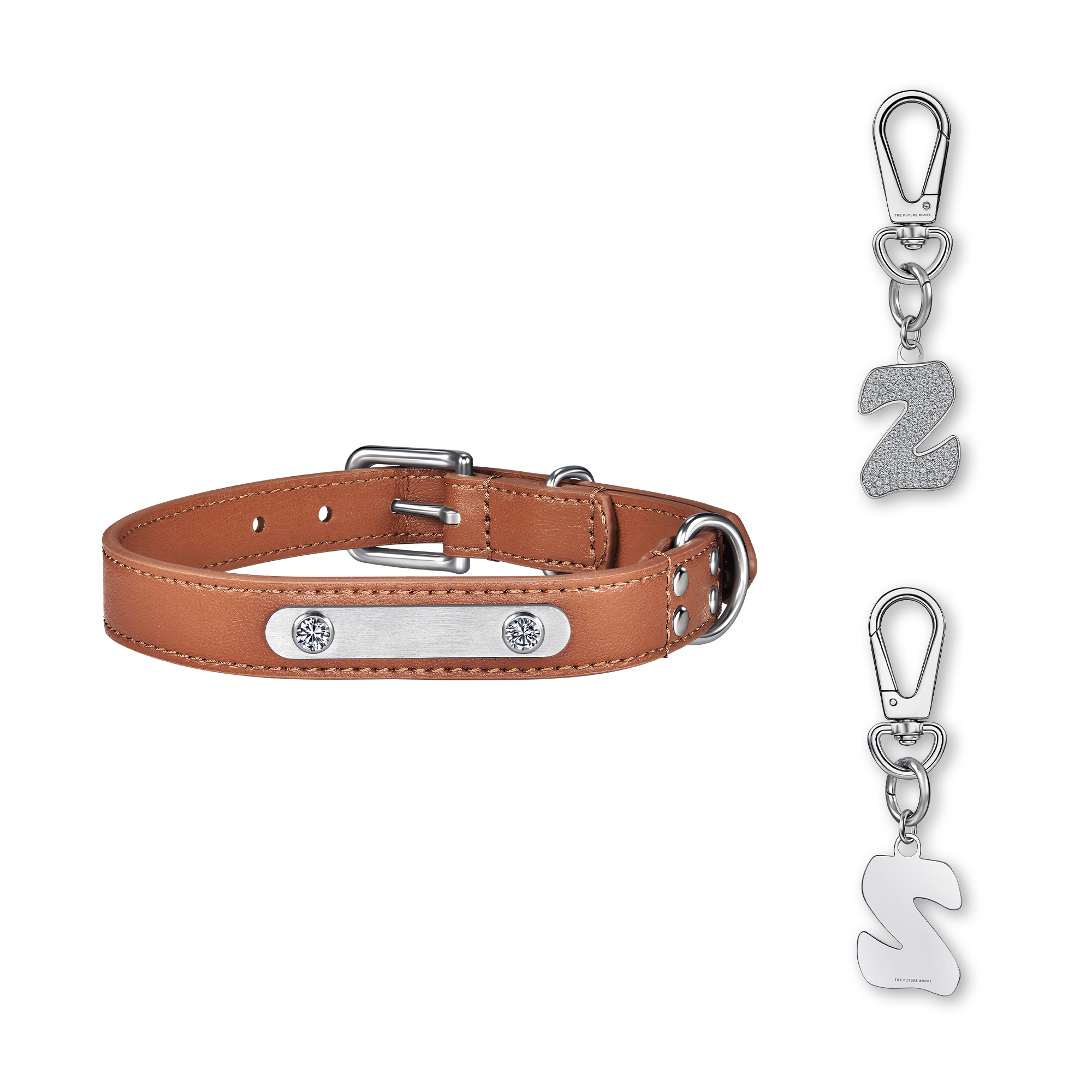 Brown pet collar with 1 charm | セット