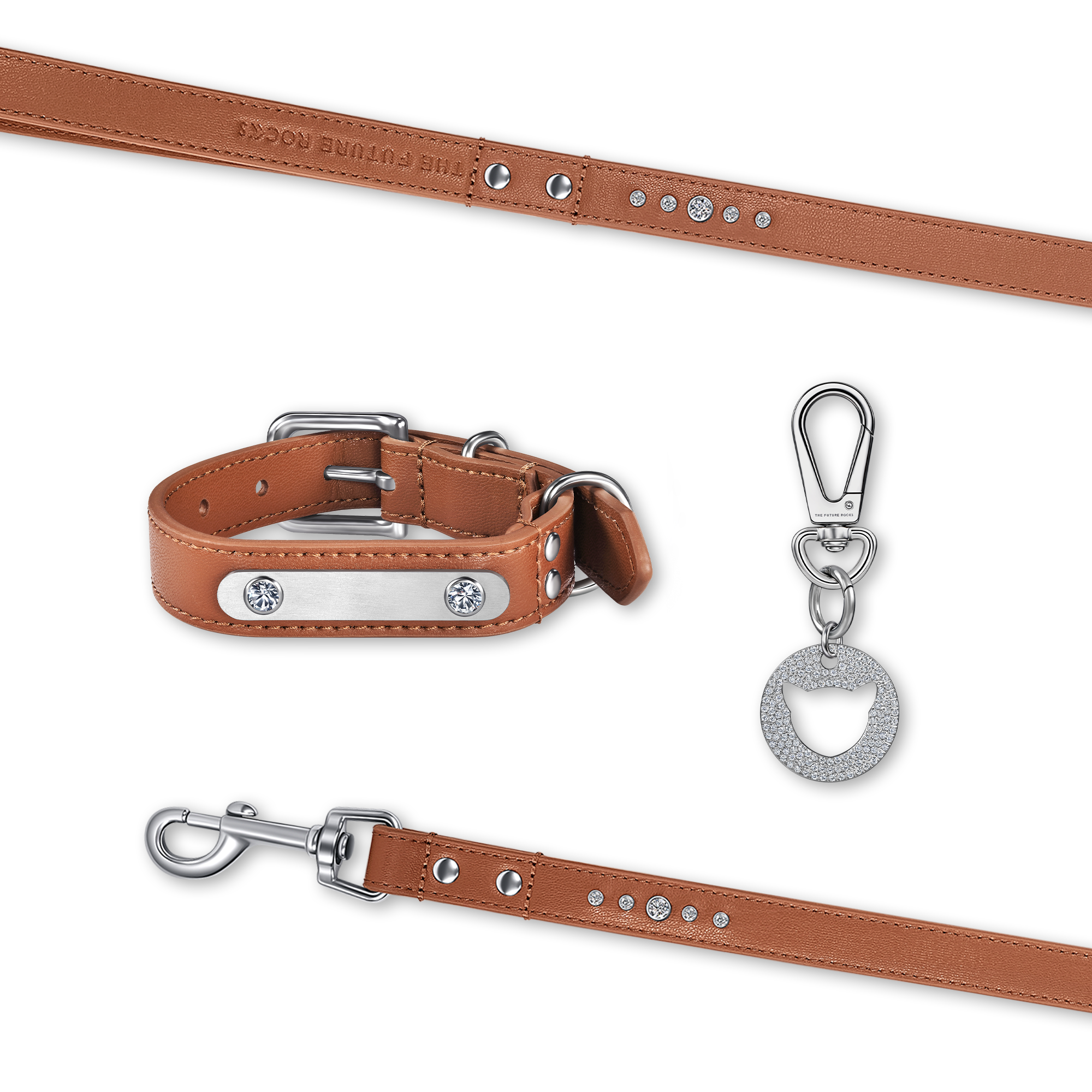 Brown pet collar, leash and 1 charm bundle - Brown pet collar, leash and 1 charm bundle - The Future Rocks - 1