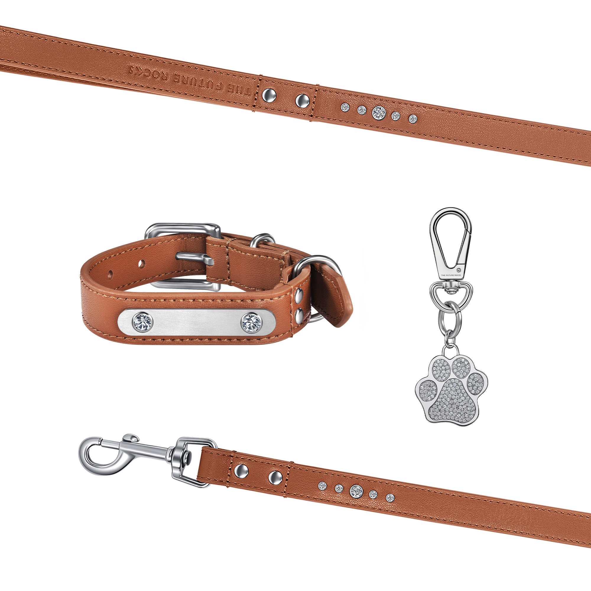 Brown pet collar, leash and 1 charm bundle - Brown pet collar, leash and 1 charm bundle - The Future Rocks - 1