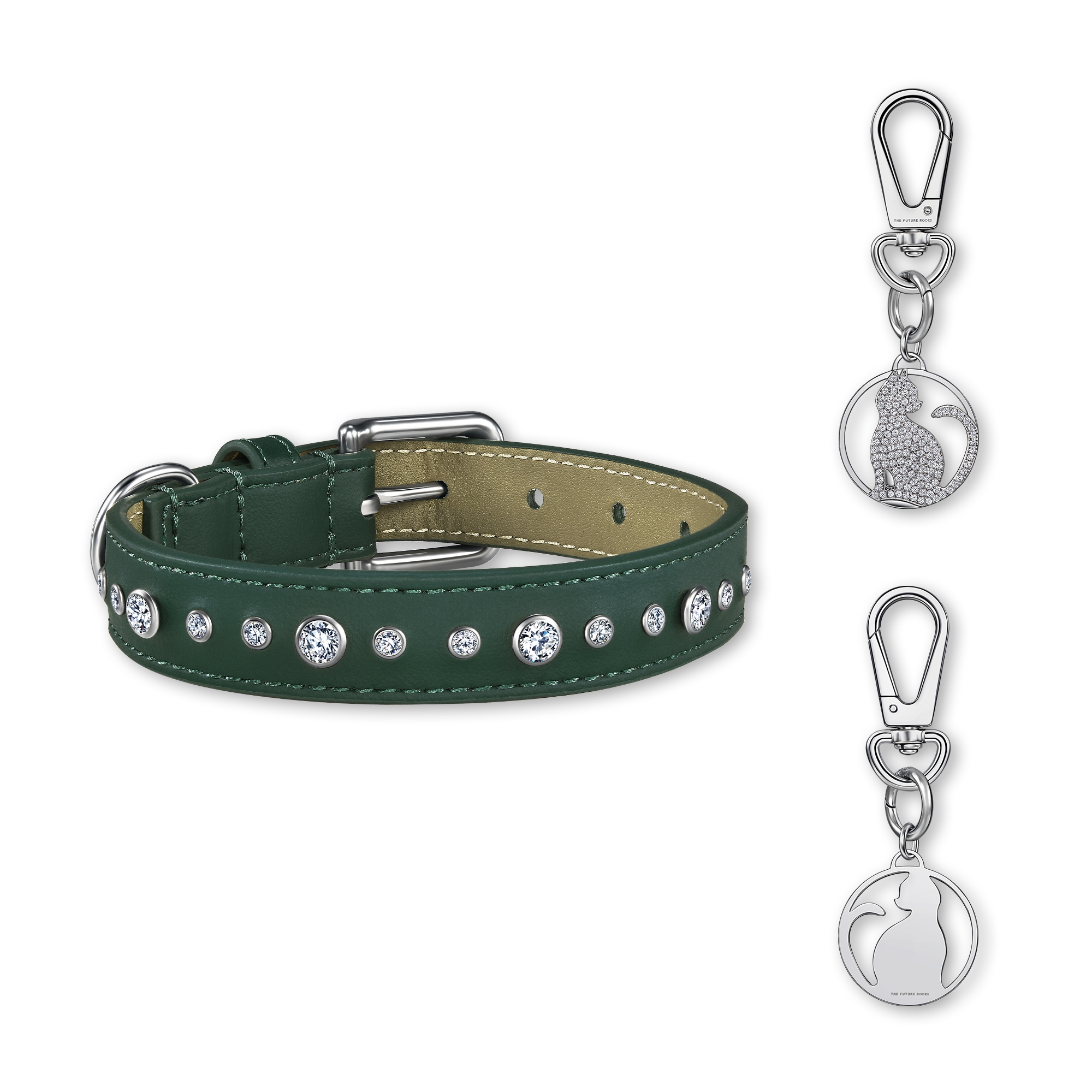 Green pet collar with 1 charm bundle - Green pet collar with 1 charm bundle - The Future Rocks - 9