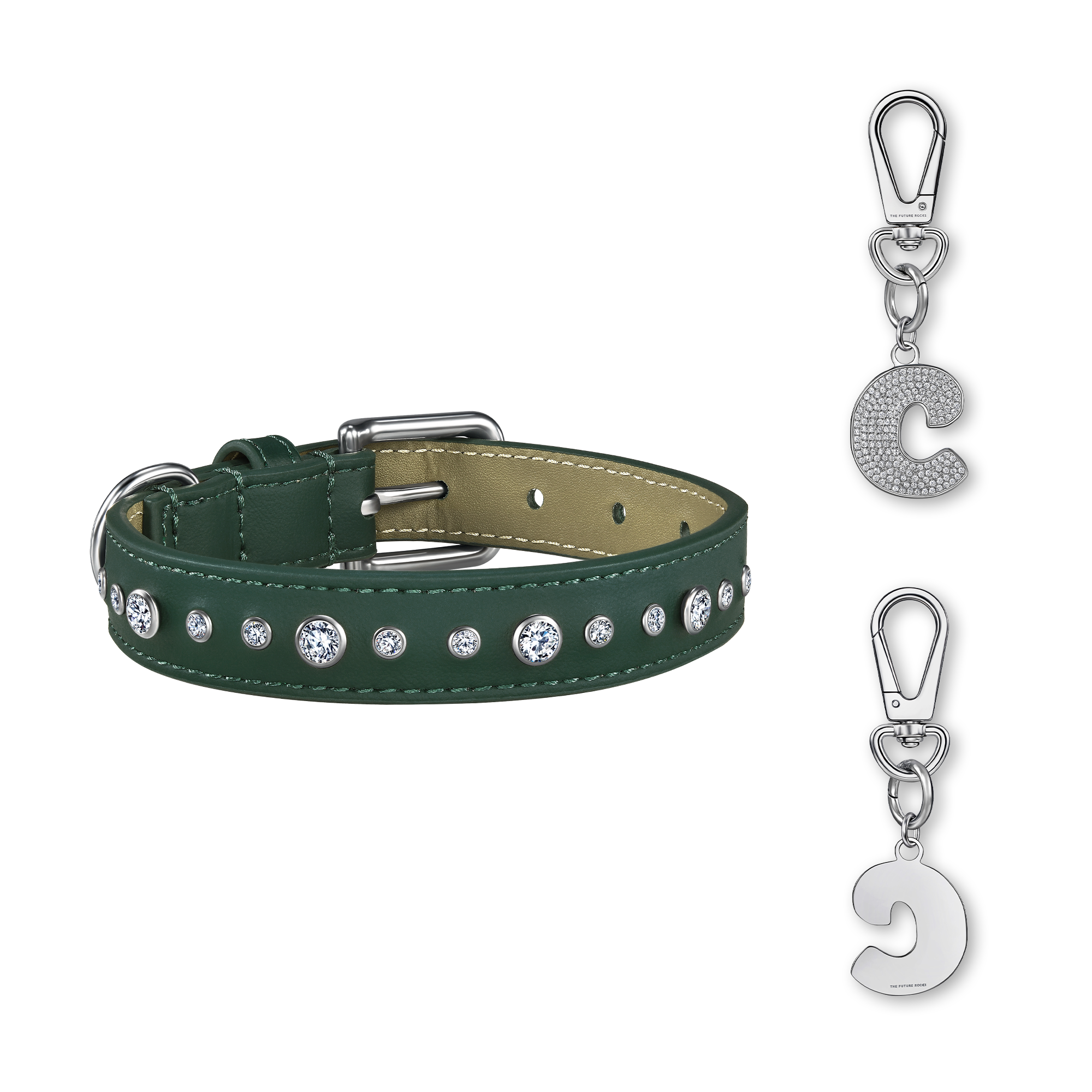 Green pet collar with 1 charm bundle - Green pet collar with 1 charm bundle - The Future Rocks - 26