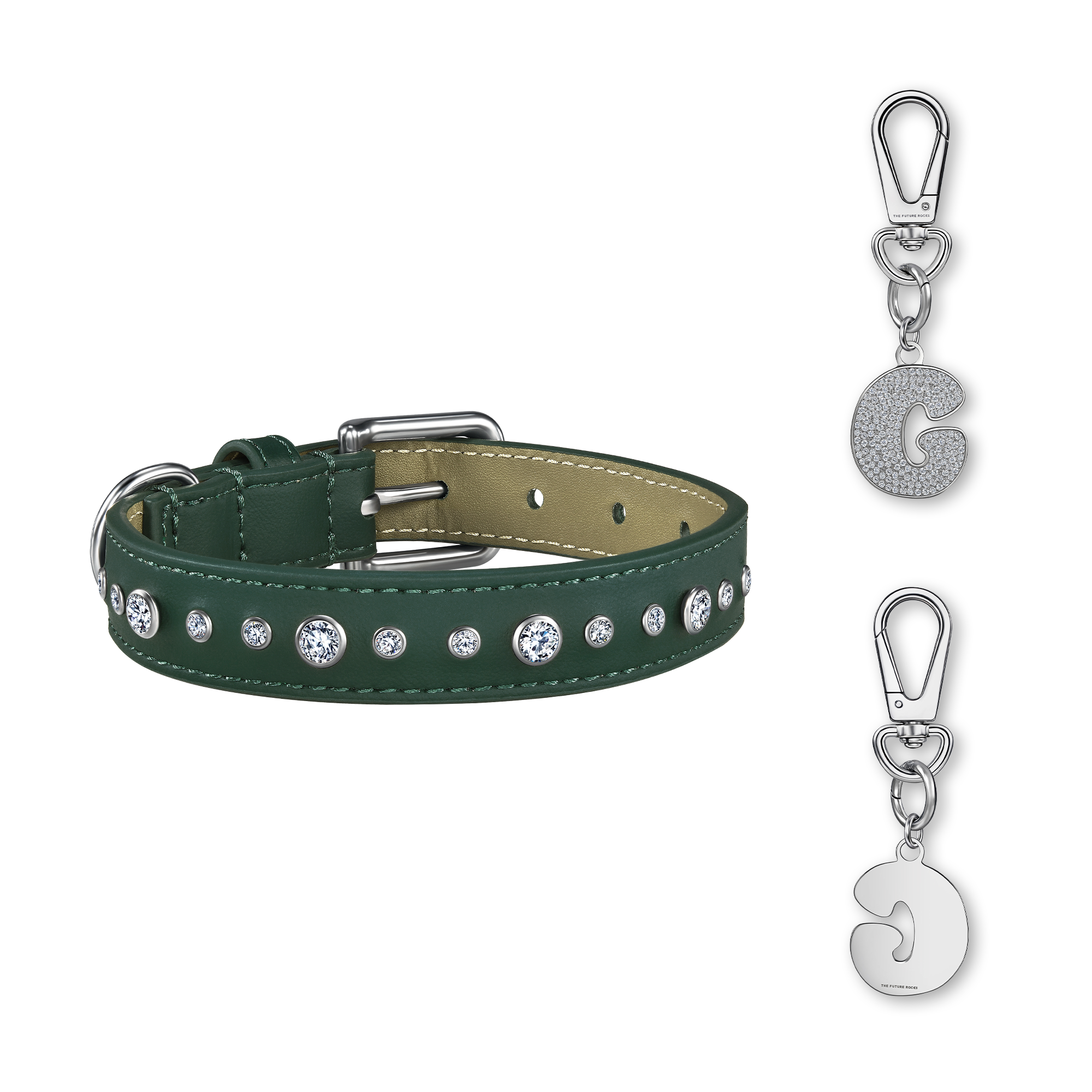Green pet collar with 1 charm | セット