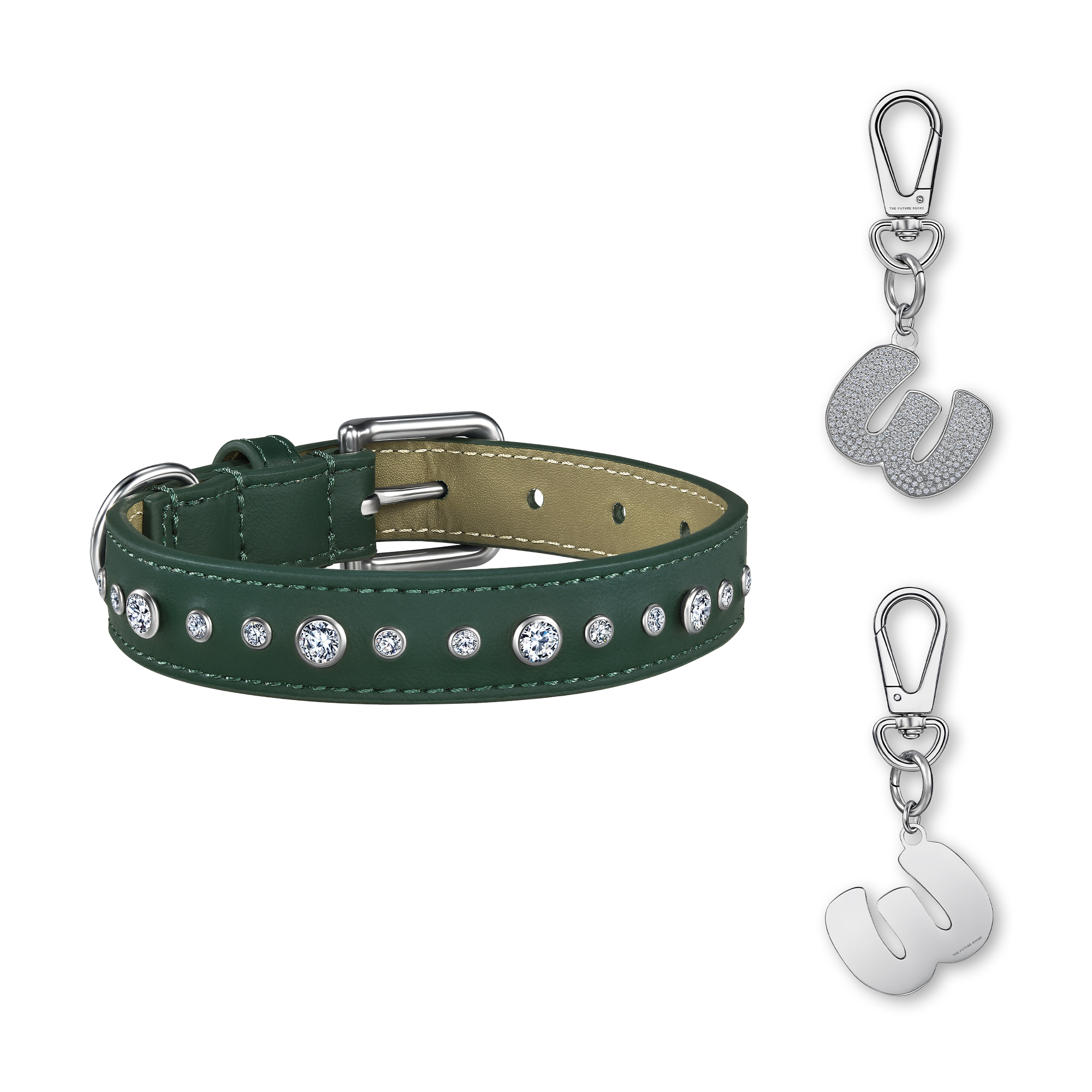 Green pet collar with 1 charm | セット
