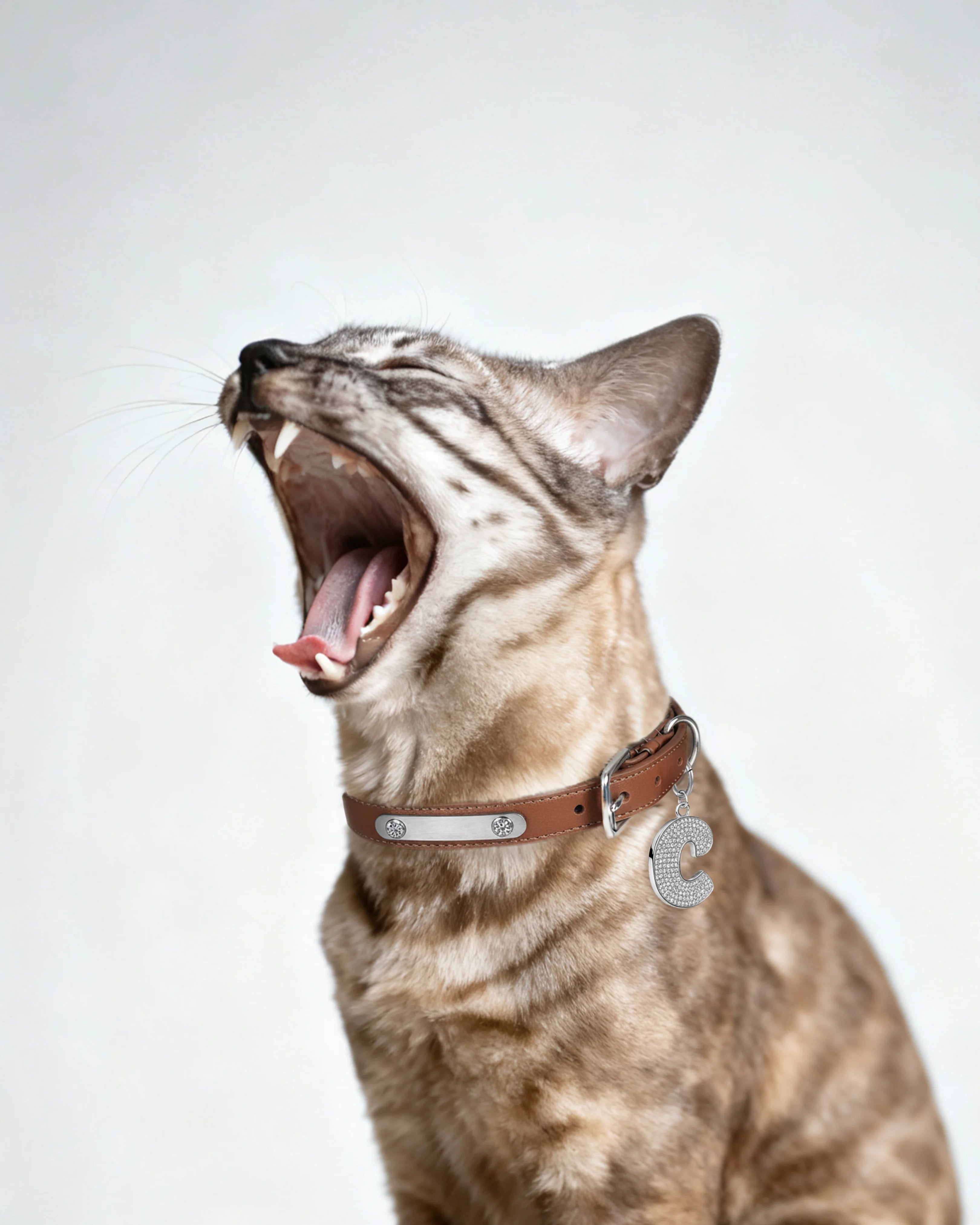 Brown vegan leather collar with lab-grown sapphire - Brown vegan leather collar with lab-grown sapphire - The Future Rocks - 2