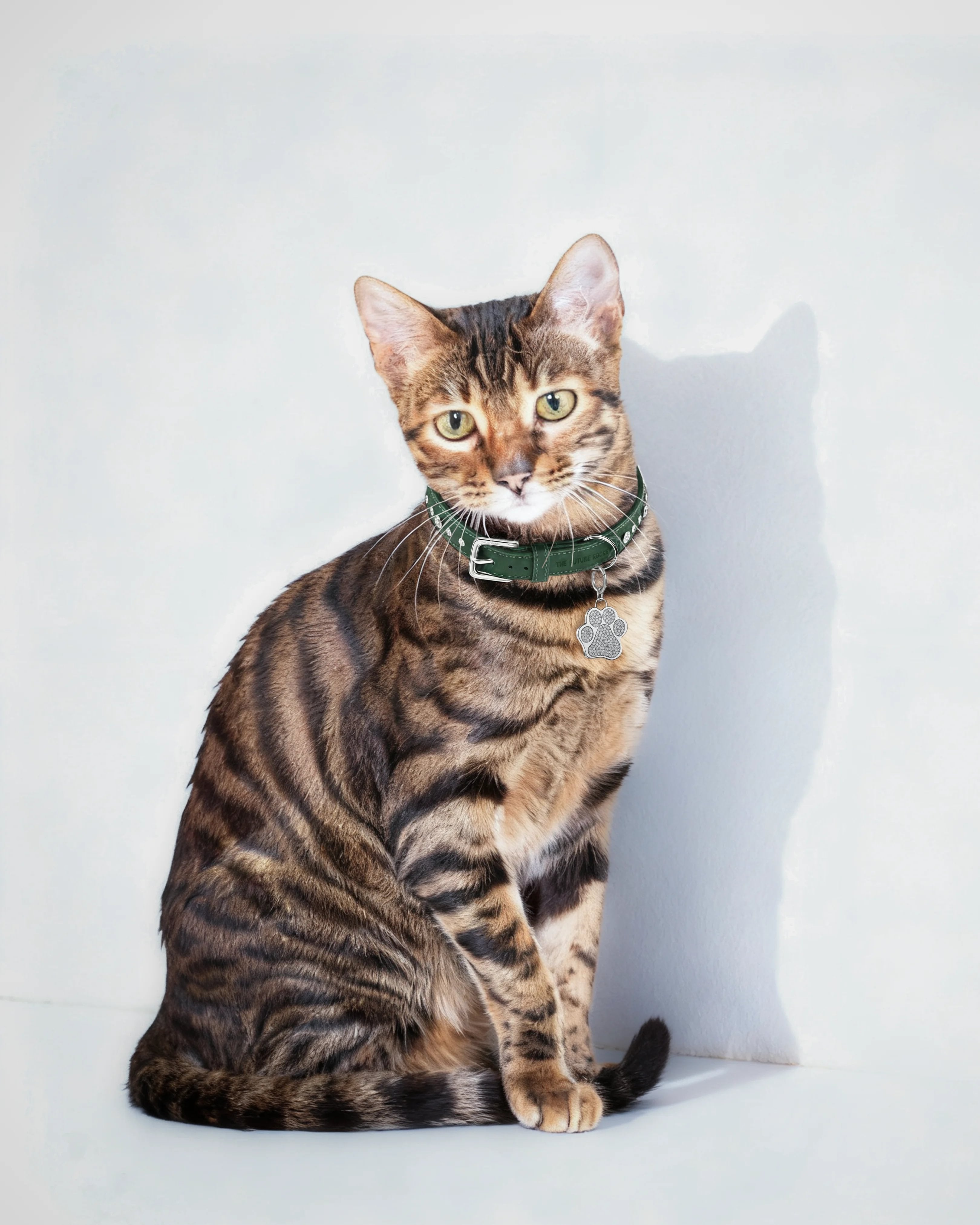 Green vegan leather collar with lab-grown sapphire - Green vegan leather collar with lab-grown sapphire - The Future Rocks - 2