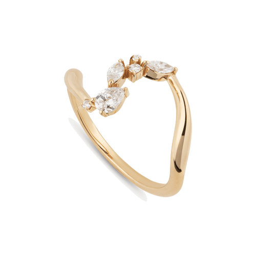 Constellation ring - Constellation ring -  The Future Rocks -    1