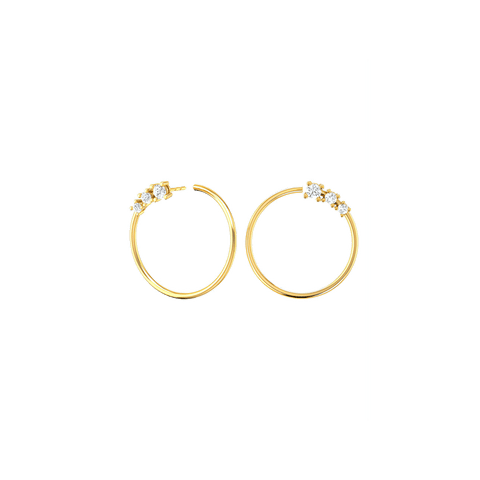 Circle degrade earrings - The Future Rocks