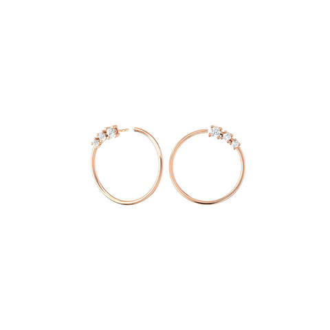 Circle degrade earrings - Earrings - The Future Rocks