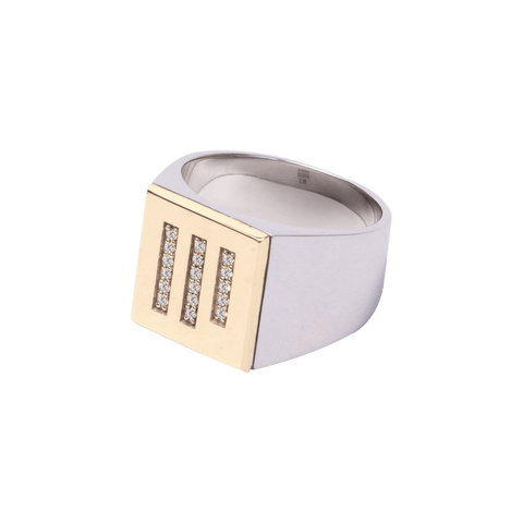 Icon signet ring - The Future Rocks