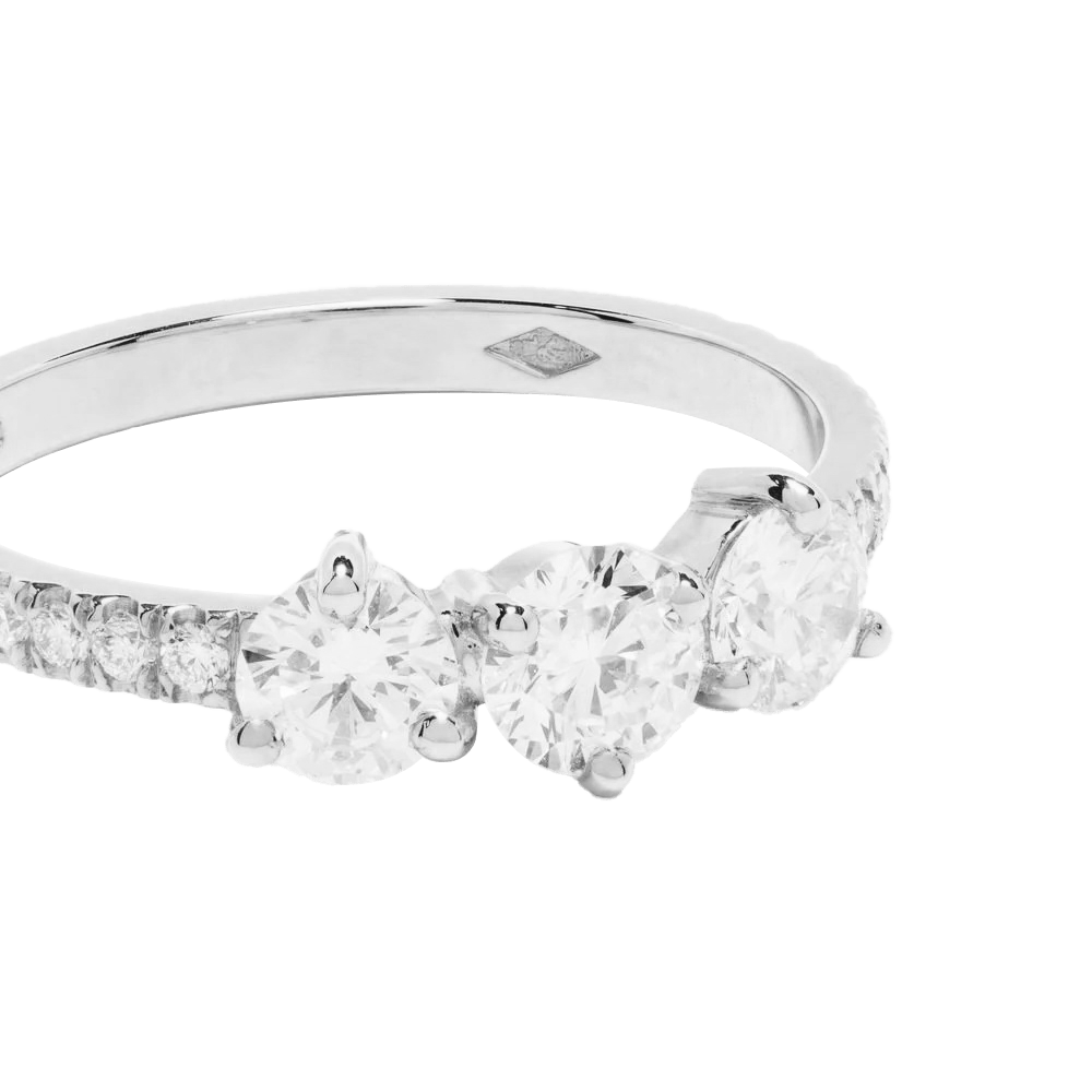 Les absolu.e.s encore plus solitaire ring - Les absolu.e.s encore plus solitaire ring -  The Future Rocks -    6