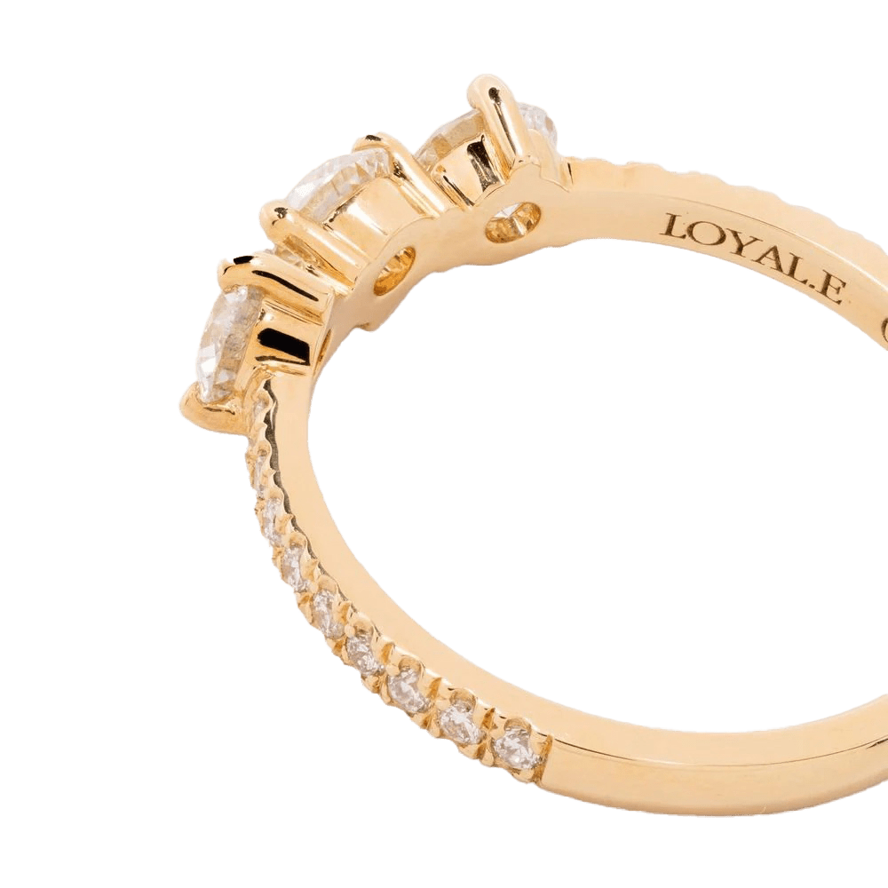 Les absolu.e.s encore plus solitaire ring - Les absolu.e.s encore plus solitaire ring -  The Future Rocks -    10