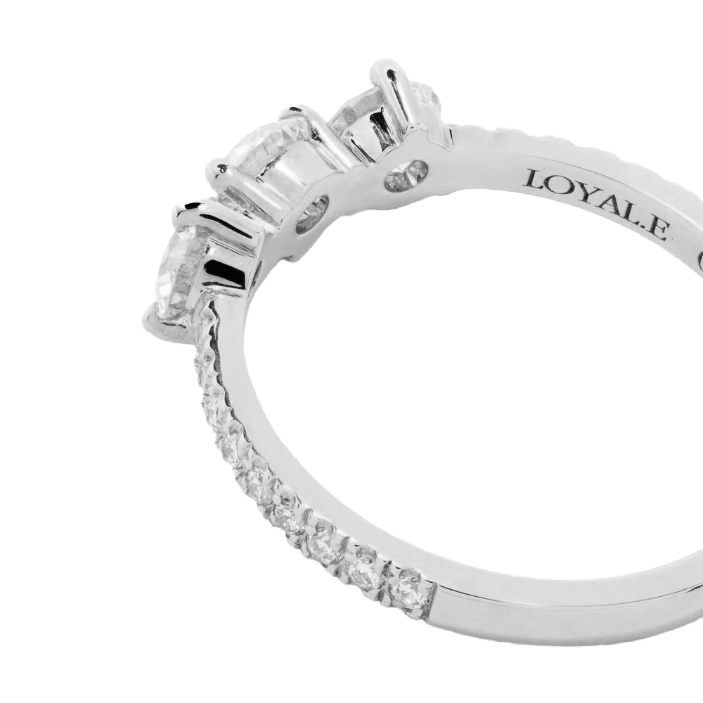 Les absolu.e.s encore plus solitaire ring - Les absolu.e.s encore plus solitaire ring -  The Future Rocks -    7