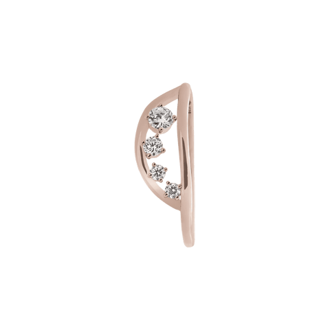 Milky way ring - The Future Rocks
