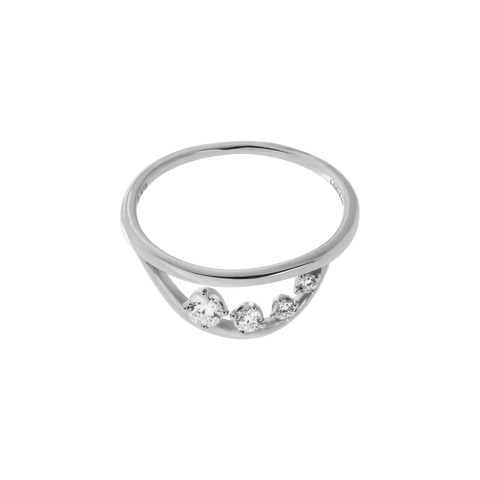 Milky way ring - The Future Rocks