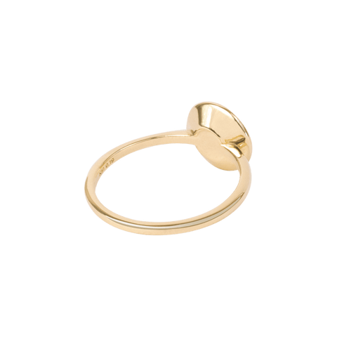 Pave disk ring - The Future Rocks