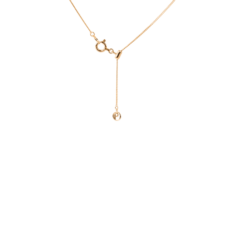 Pave double curve necklace - The Future Rocks