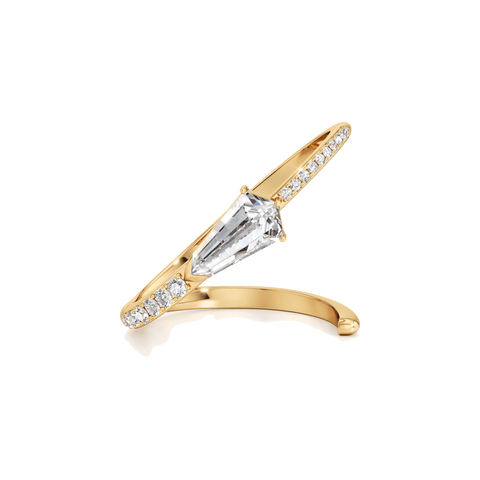 Phoenix comet grand ring - The Future Rocks