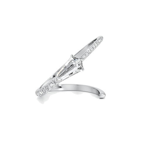Phoenix comet grand ring - The Future Rocks