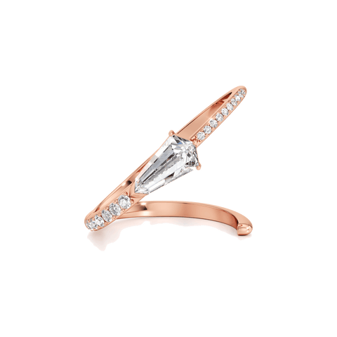 Phoenix comet grand ring - The Future Rocks
