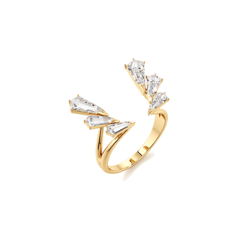 Phoenix open ring - The Future Rocks