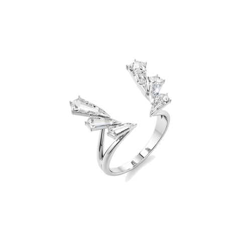 Phoenix open ring - The Future Rocks