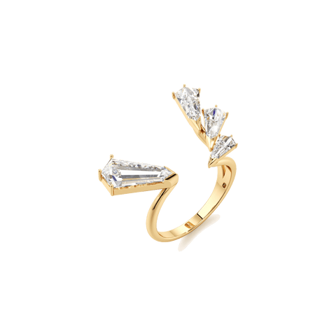 Phoenix open statement ring - The Future Rocks