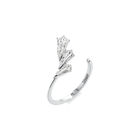 Phoenix trio ring - The Future Rocks