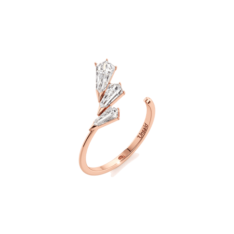 Phoenix trio ring - The Future Rocks