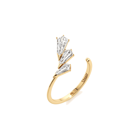 Phoenix trio ring - The Future Rocks