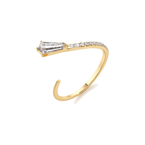 Phoenix twist open ring - The Future Rocks