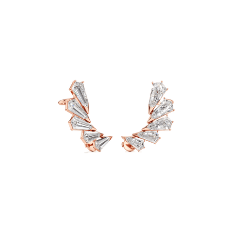 Phoenix wing statement earrings - The Future Rocks