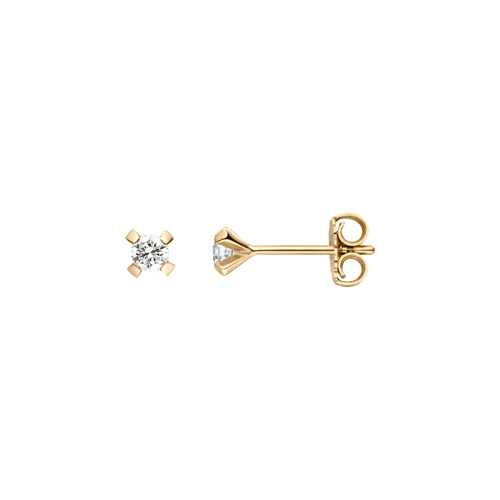 ReMind earrings - ReMind earrings -  The Future Rocks -    1