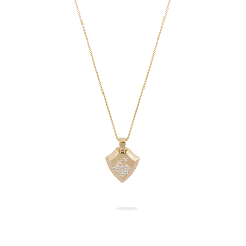 Shield necklace - The Future Rocks