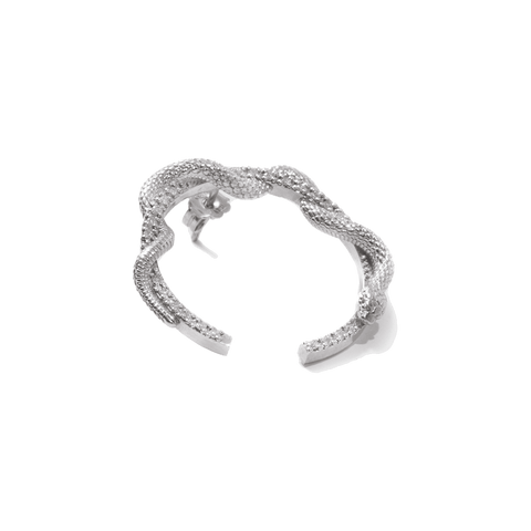 Shiny surrounding snake - The Future Rocks